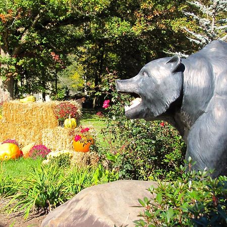 Brookside Lodge Gatlinburg Esterno foto