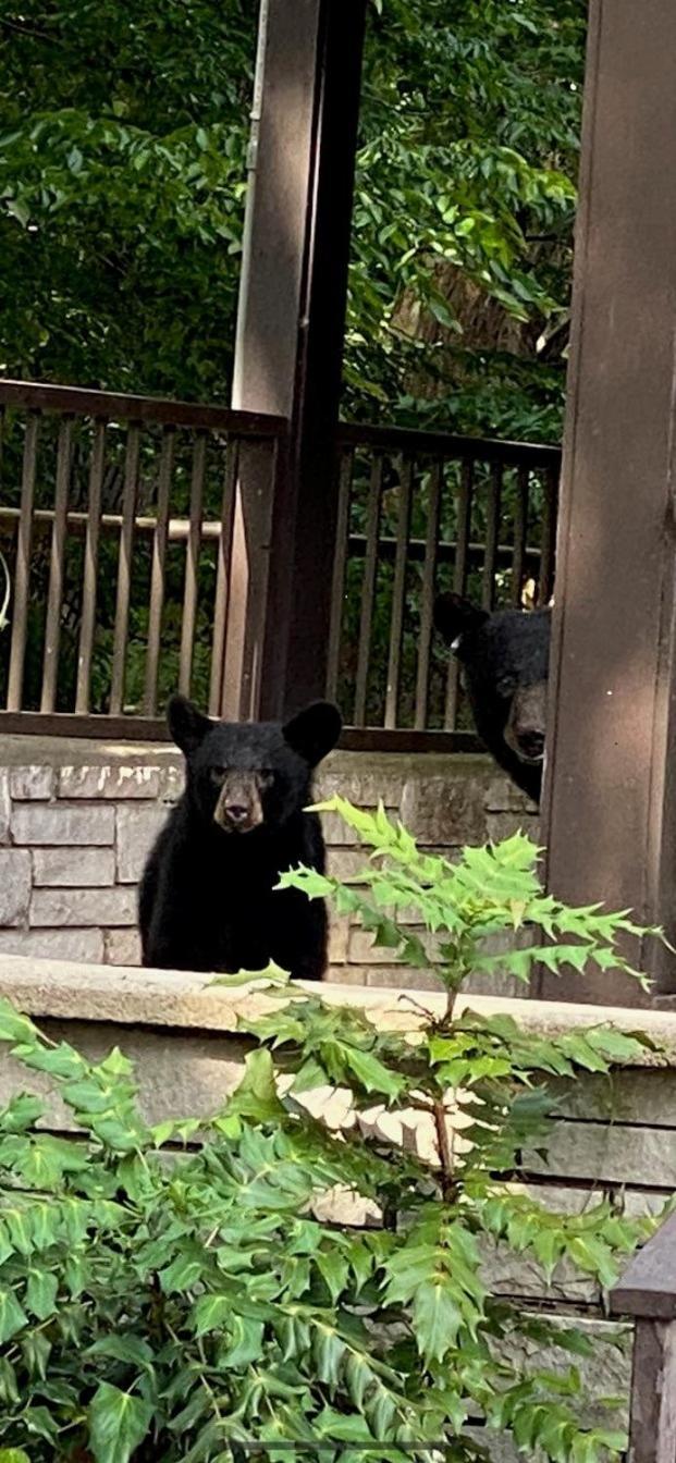 Brookside Lodge Gatlinburg Esterno foto