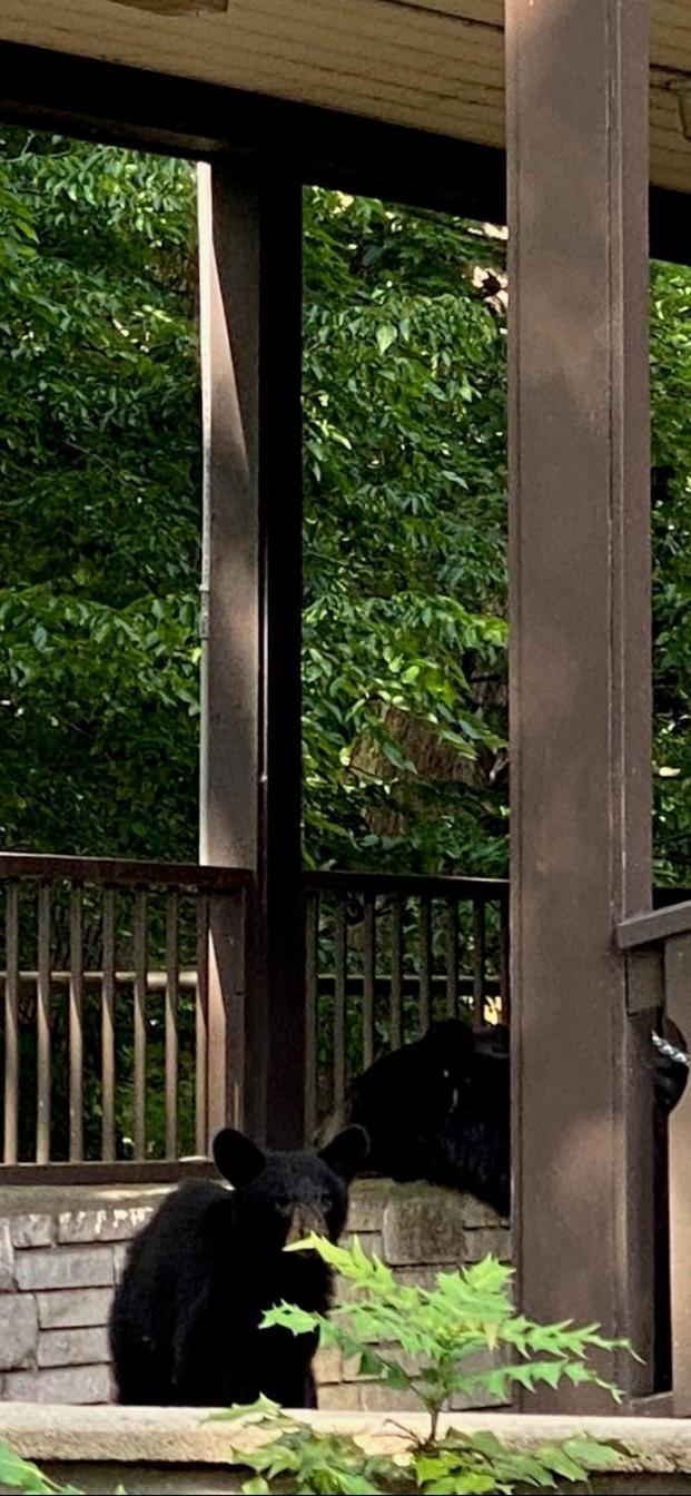 Brookside Lodge Gatlinburg Esterno foto