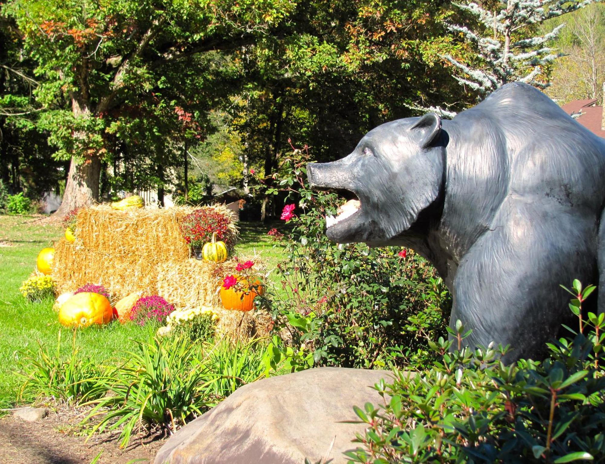 Brookside Lodge Gatlinburg Esterno foto