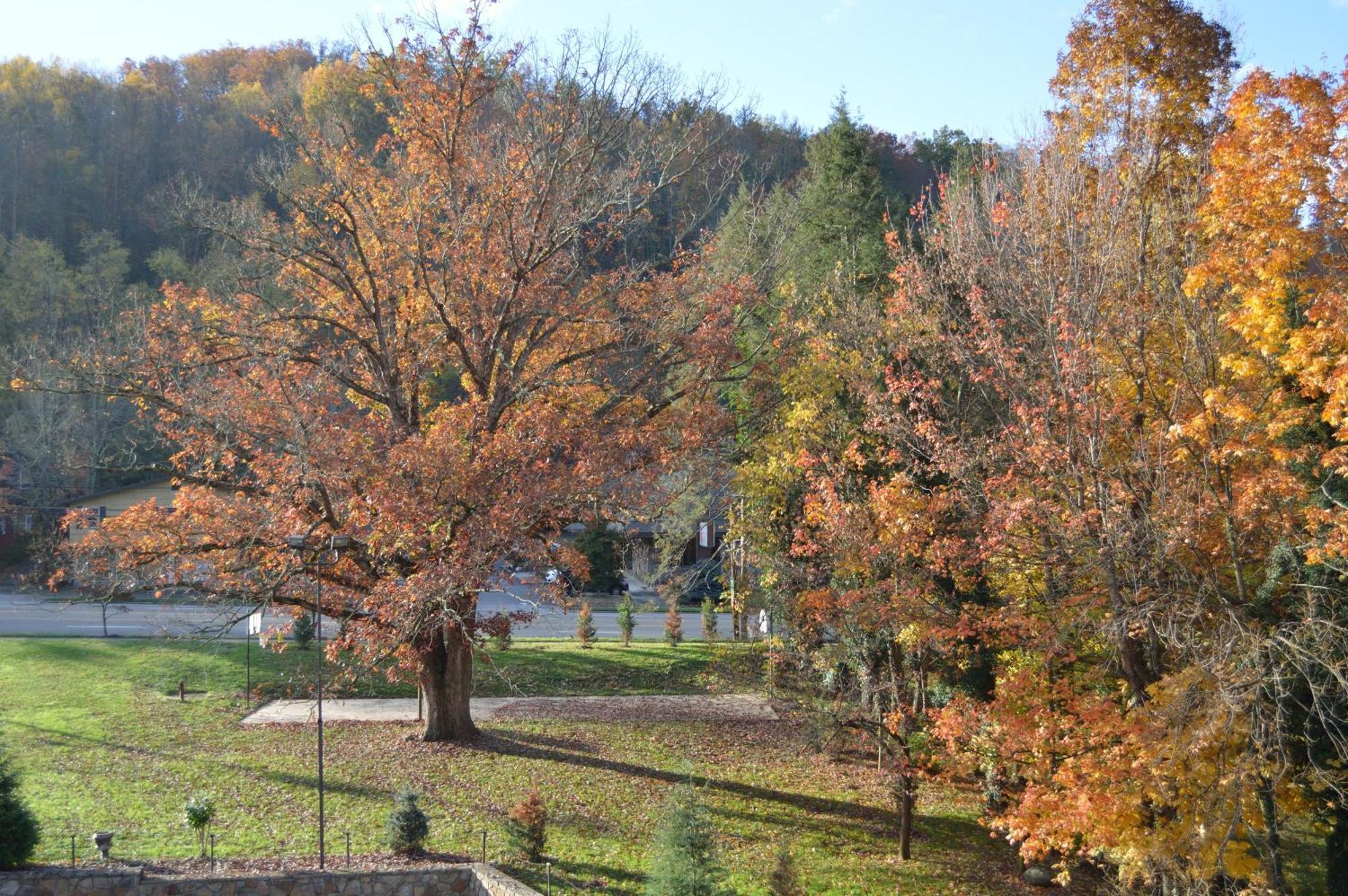 Brookside Lodge Gatlinburg Esterno foto